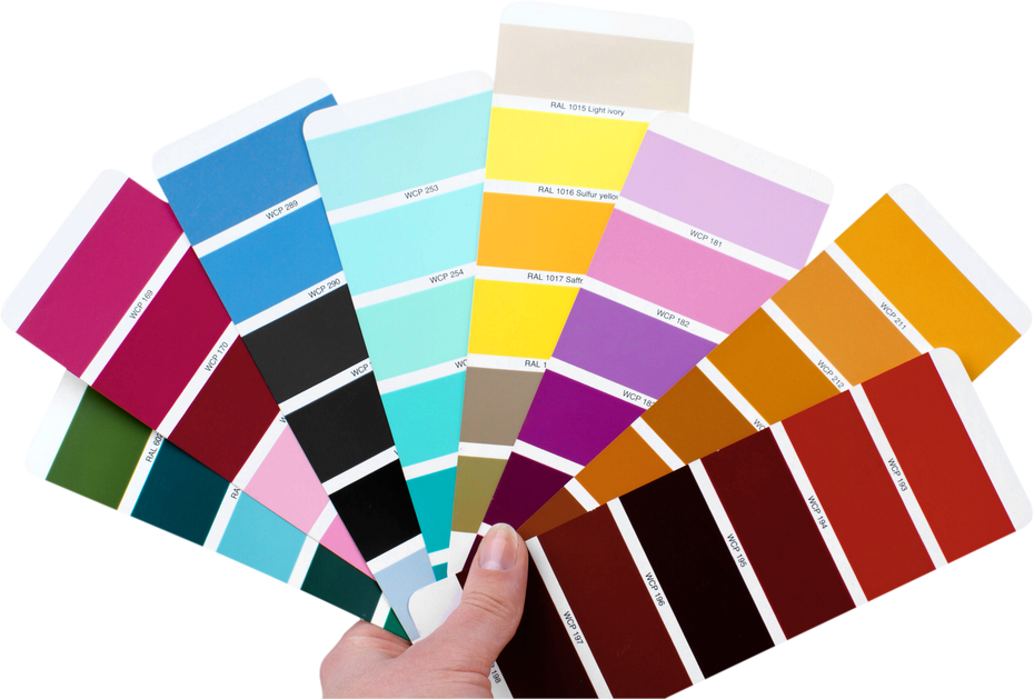 Hand Holding Color Palettes Cutout